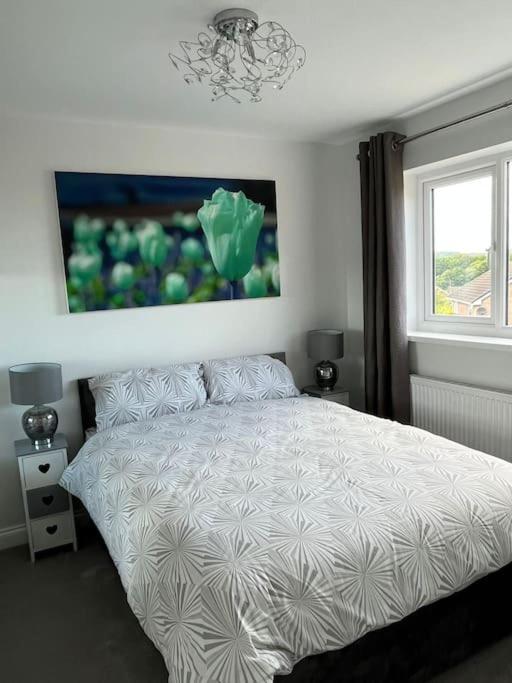 Blissful Barrys * Chesterfield